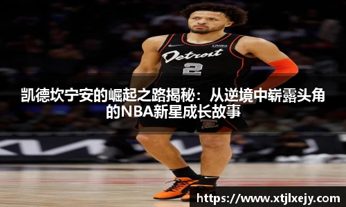 懂球体育